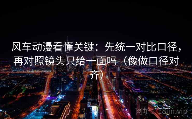 风车动漫看懂关键：先统一对比口径，再对照镜头只给一面吗（像做口径对齐）