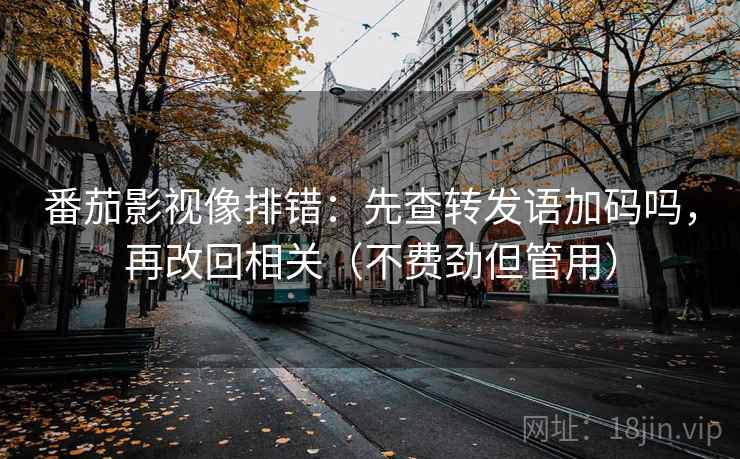番茄影视像排错：先查转发语加码吗，再改回相关（不费劲但管用）